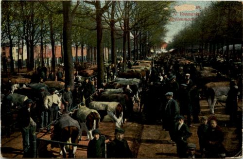 Groningen - Veemarkt