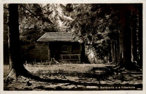Durach - Waldpartie a d Futterhütte