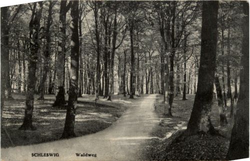 Schleswig - Waldweg