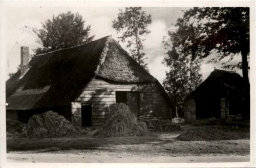 Boerderij - Elspeet