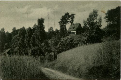 Schiffmühle bei Grimma