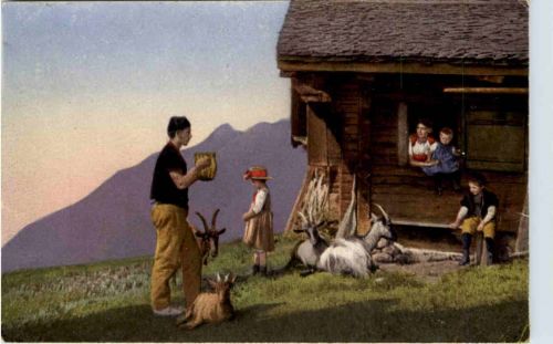 Alm mit Ziegen Goat