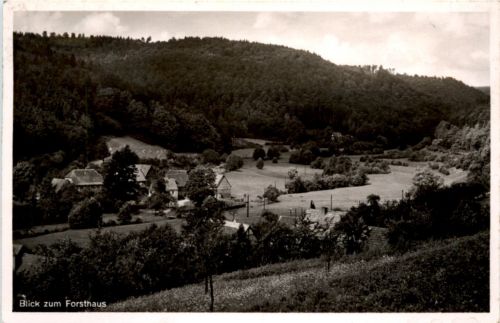 Krausenbach im Spessart - Forsthaus