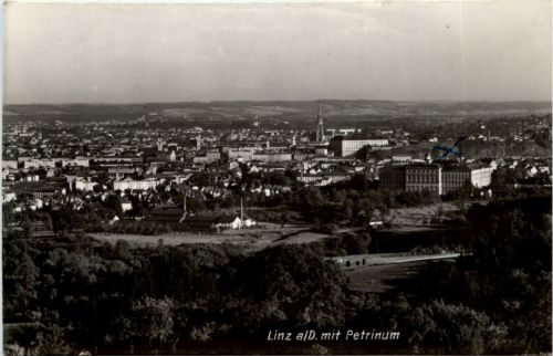 Linz mit Petrinum