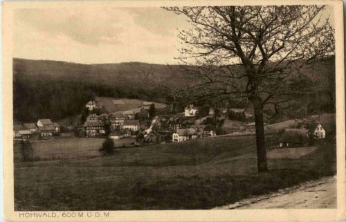 Hohwald