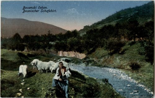 Bosnischer Schafhirt