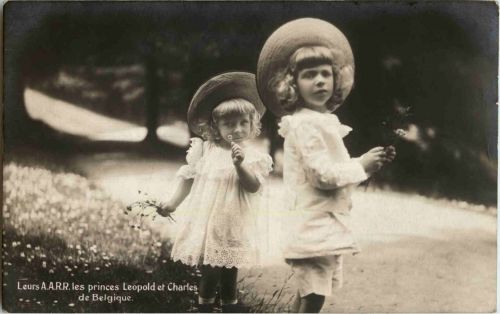 Leurs AARRR les Princes Leopold et Charles de Belgique