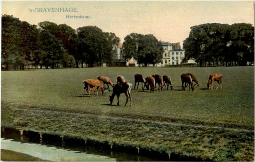 s Gravenhage