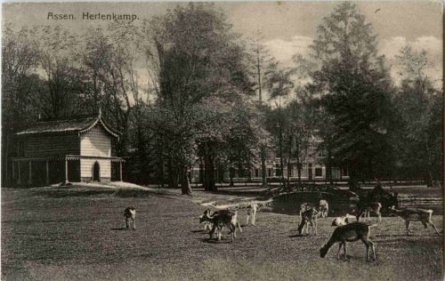 Assen - Hertenkamp
