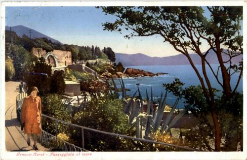 Genovo - Nervi
