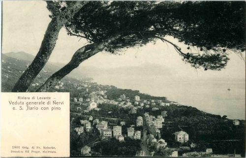 Nervi