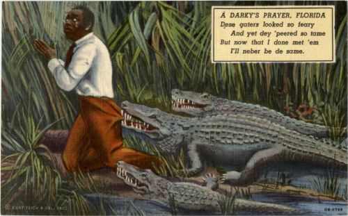 Crocodile