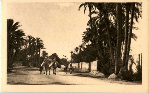 Marrakech