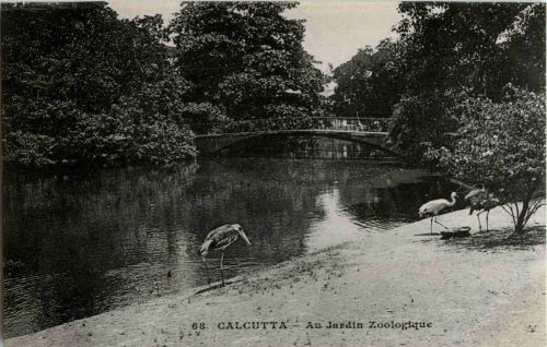 Calcutta - Jardin Zoologique