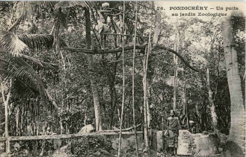 Pondichery - Jardin Zoologique