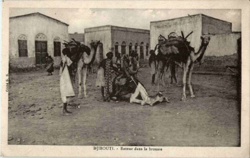 Djibouti - Retour dans la brousse