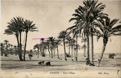 Zarzis