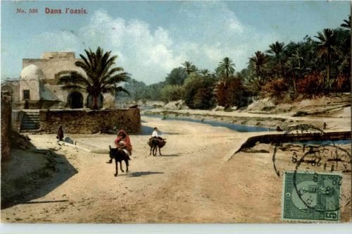 Dans l oasis