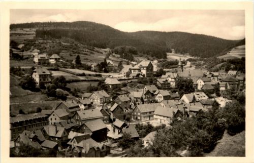 Luftkurort Doppenheim (Kleinschmalkalden), Blick von der Hohen Warte auf Pappenheim