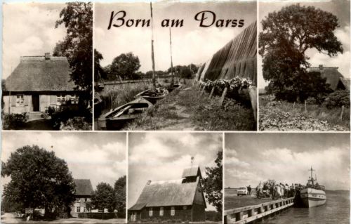 Born am Darss