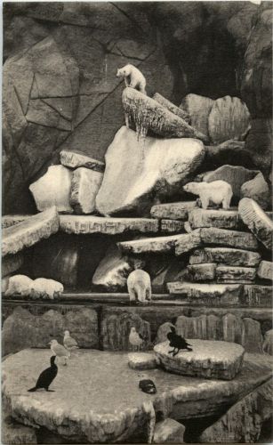Hamburg Stellingen - Carl Hagenbecks Tierpark