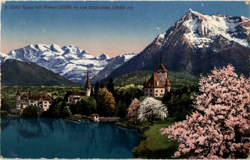 Spiez mit Niesen