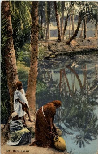 Dans l oasis