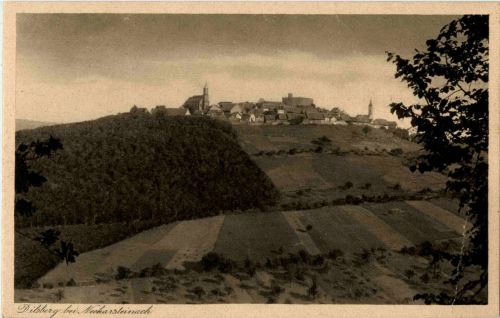 Dilsberg bei Neckarsteinach