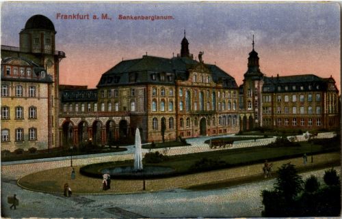 Frankfurt - Senkenbergianum