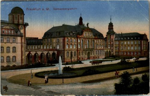 Frankfurt - Senkenbergianum