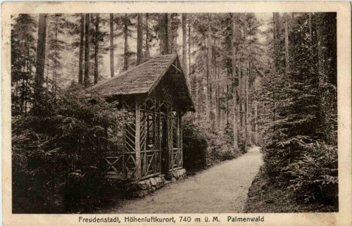 Freudenstadt - Palmenwald