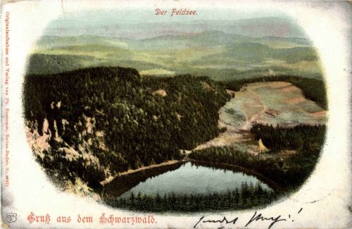 Schwarzwald - Feldsee