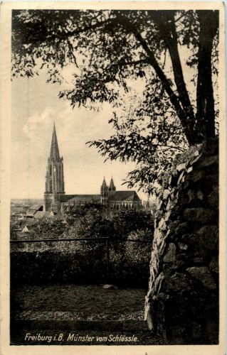Freiburg - Münster