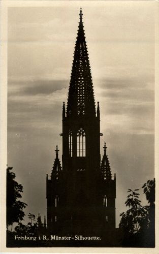 Freiburg - Münster