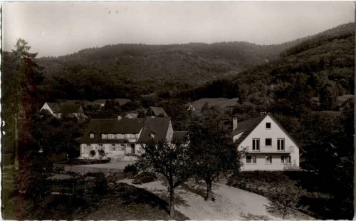 Sehringen - Gasthaus zum grünen Baum