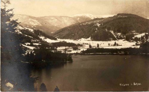 Titisee im Schwarzwald im Winter