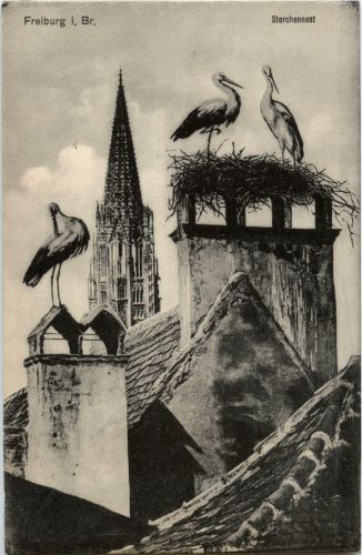 Freiburg - Storchennest
