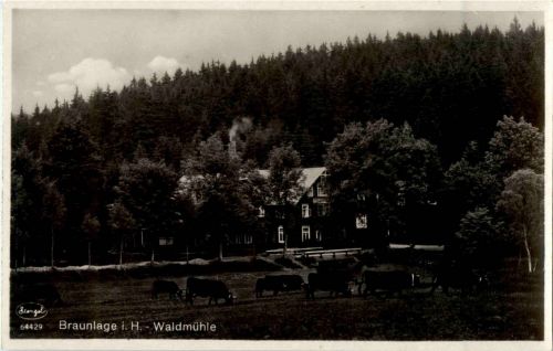 Braunlage - Waldmühle