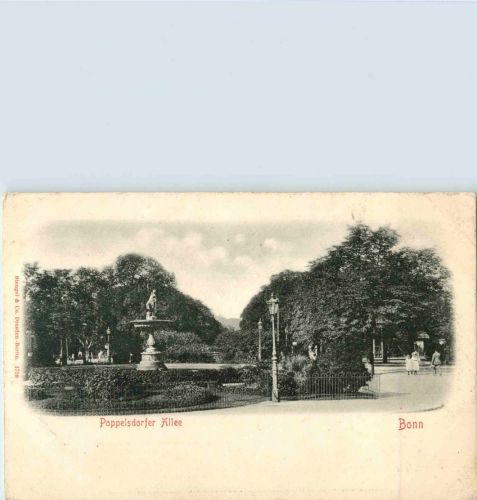 Bonn - Popelsdorfer Allee