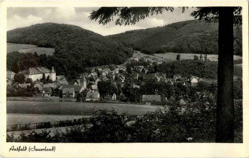 Antfeld - Sauerland