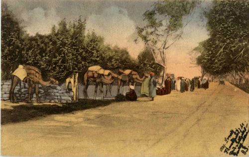 The Rond from Kairo to the Pyramides