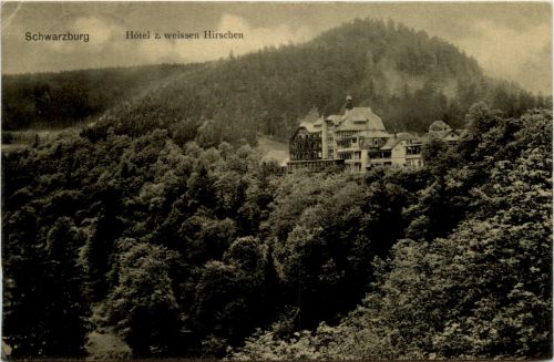 Schwarzburg/Thür. - Hotel z. weissen Hirschen