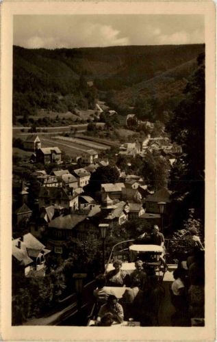 Schwarzburg/Thür.Wald - Blick von der Hotel-Terrasse Schwarzaburg