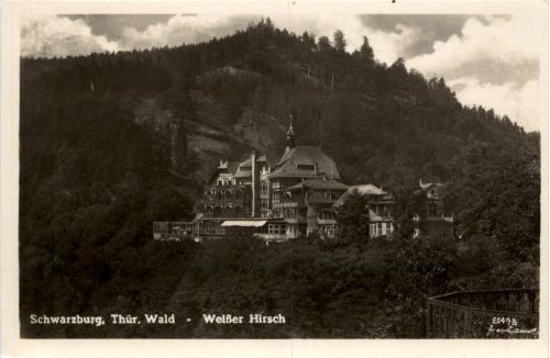 Schwarzburg/Thür.Wald - Weisser Hirsch