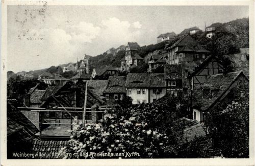 Bad Frankenhausen/Kyffh. - Weinbergvillen und Alteburg