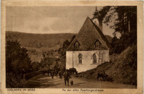 Stolberg/Harz . An der alten Auerbergerstrasse