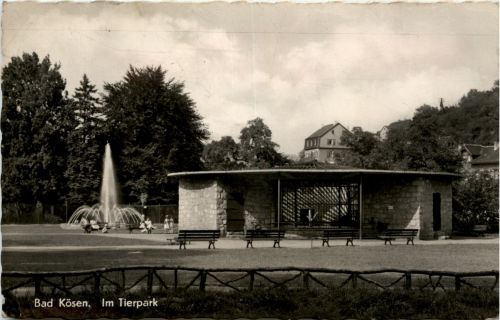 Bad Kösen Heilbad - Im Tierpark