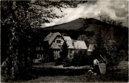 Zella-Mehlis /Thür.Wald - Waldhaus mit Ruppberg
