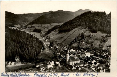Graz/Steiermark - Sommerfrische Passeil - Fliegeraufnahme