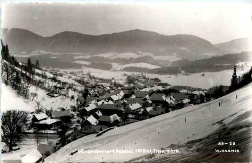 Graz/Steiermark - Sommerfrische Passeil im Winter